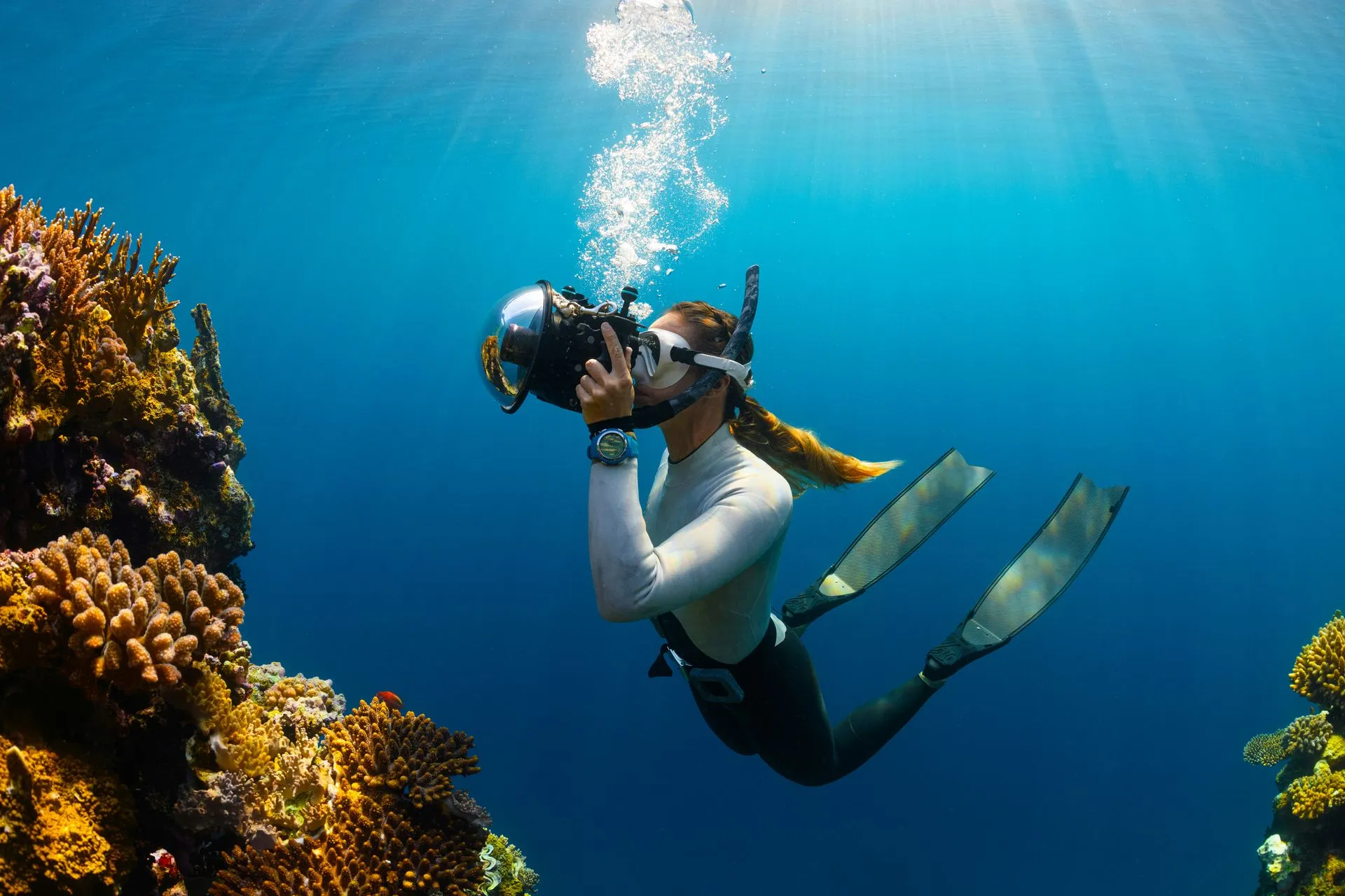 Plongeur explorant les fonds marins de Marseille